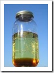 biodiesel