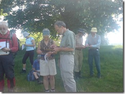 Compass walk 012