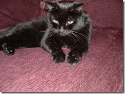 Jack Morley, 23 Jan 04 002