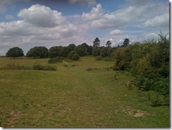 Sizewell 3