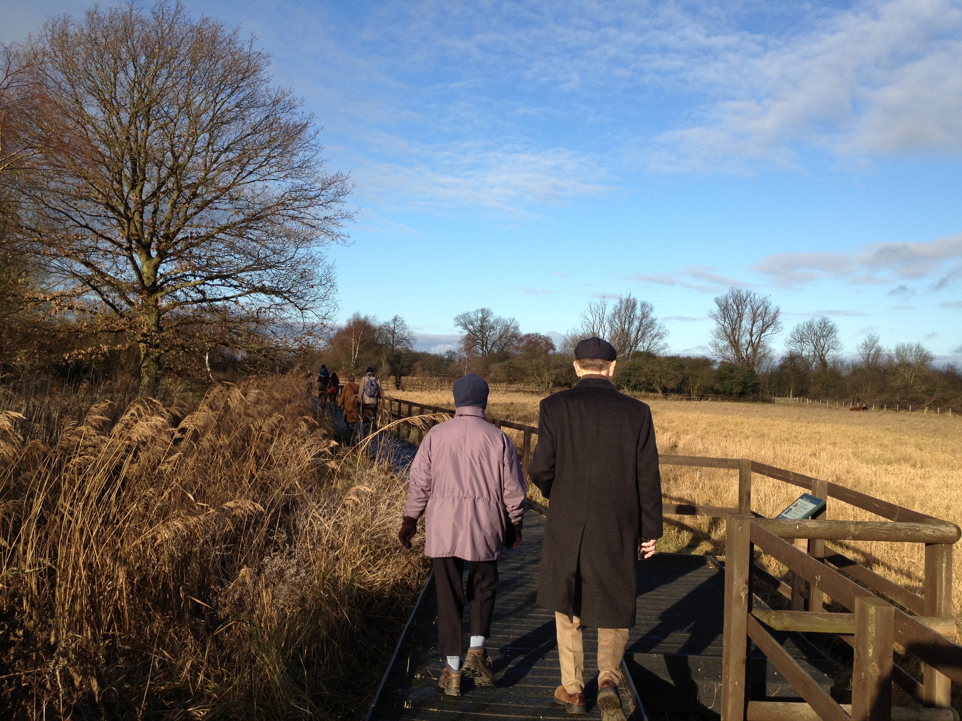 My Boxing Day boardwalk at Wicken Fen
